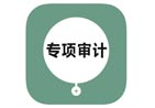 高新專項(xiàng)審計(jì)